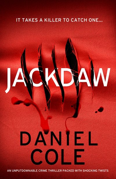 Jackdaw Book Review