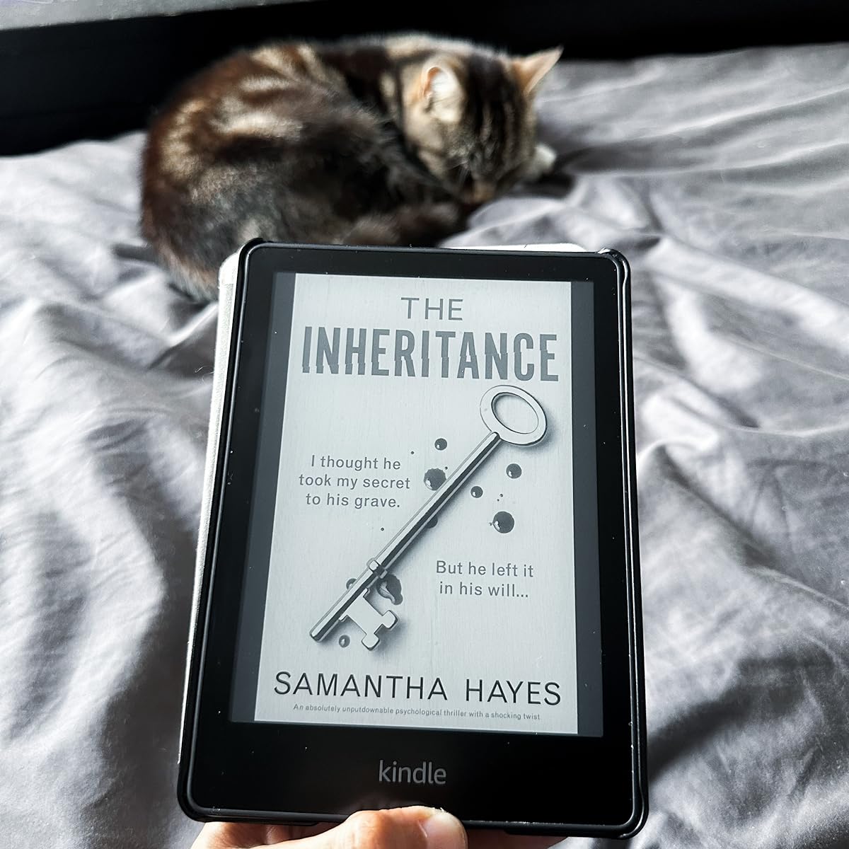 The Inheritance Book Review – NO SHELF CONTROL