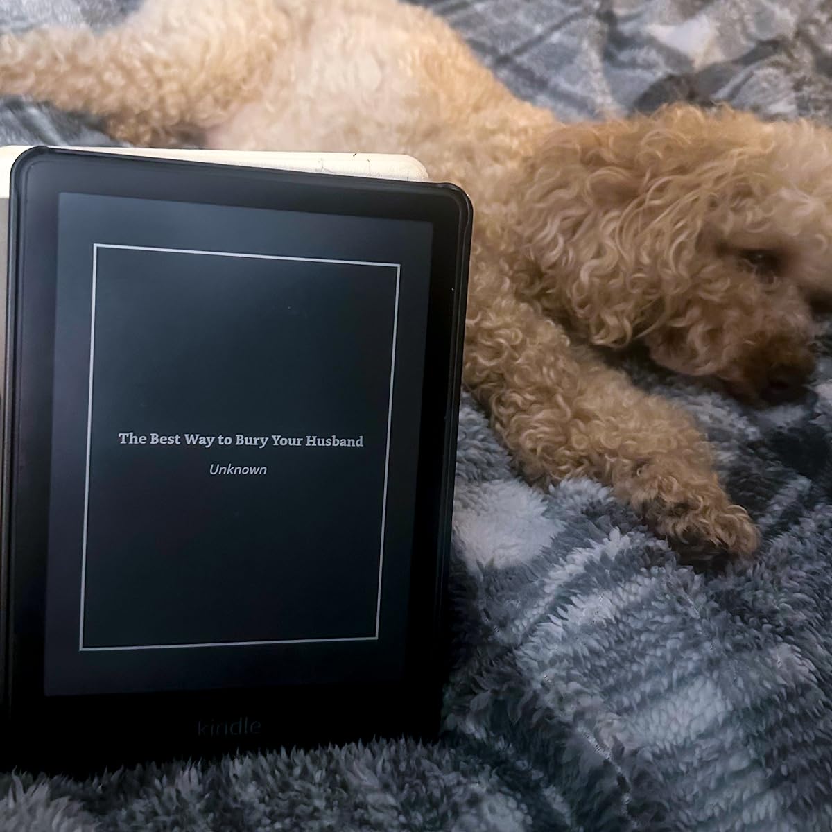 The Best Way To Bury Your Husband Book Review NO