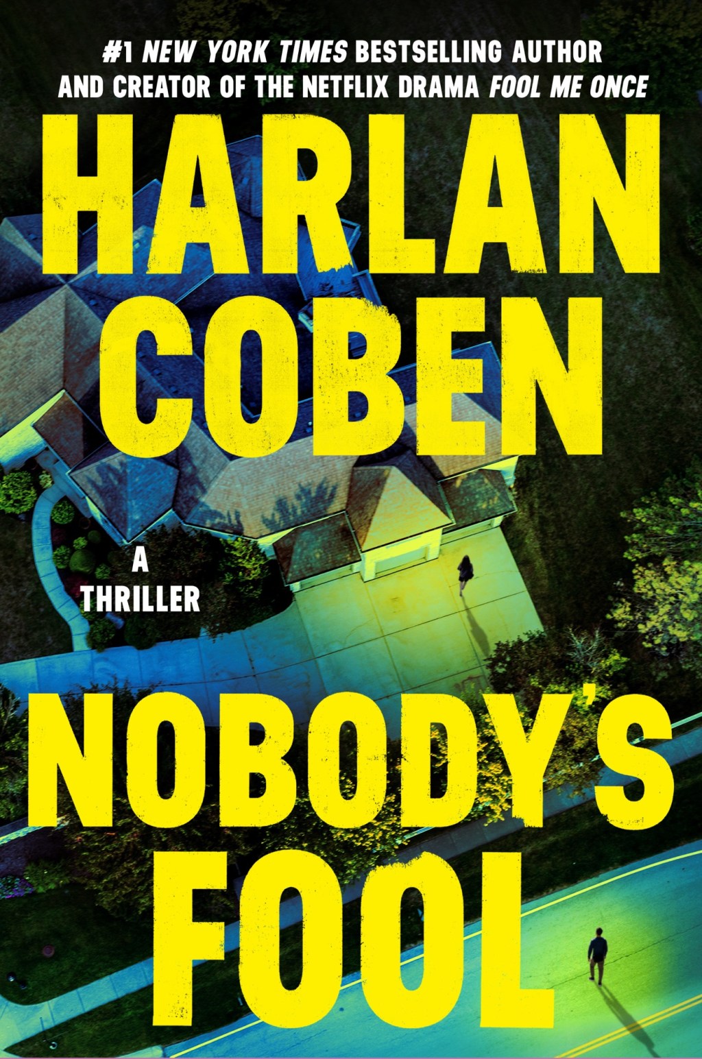 Nobody’s Fool Book&nbsp;Review